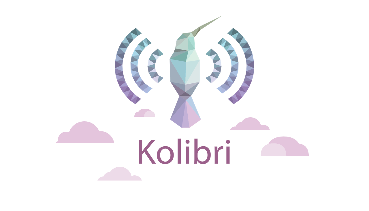 _images/Kolibri-launch1.png